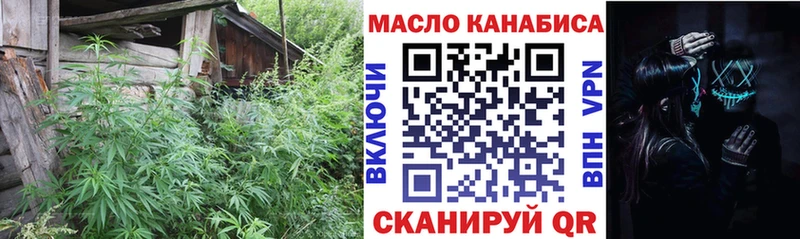 дарк нет телеграм  Калач  ТГК THC oil 