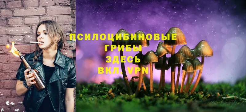 Псилоцибиновые грибы Magic Shrooms  что такое   Калач 